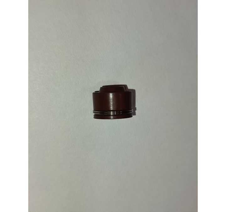 [ORIGINAL] VALVE STEM SEAL FOR BENELLI RFS150i/TNT25/TNT135  [READY STOCK]