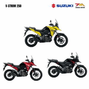 V STROM 250