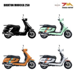 BRIXTON MOUCCA 250