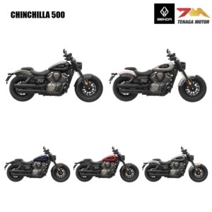 CHINCHILLA 500