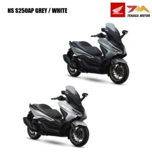 NS S250AP GREY / WHITE